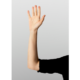assembleia-